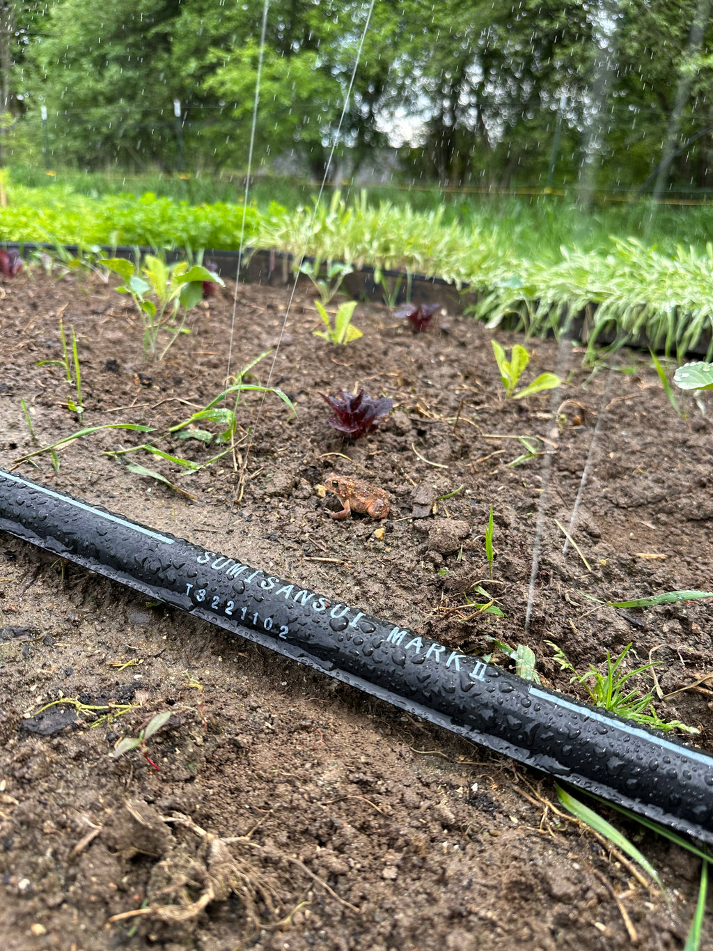 Sumisansui Mark II Irrigation Tube